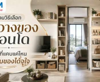ชั้นวางของ วิธีเลือก