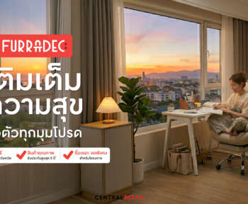 แต่งห้องทำงาน แบบไหนดี