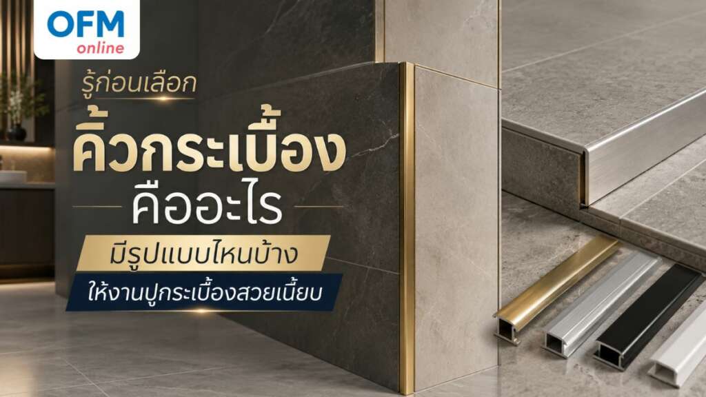 คิ้วกระเบื้องคือ