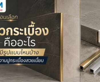 คิ้วกระเบื้องคือ