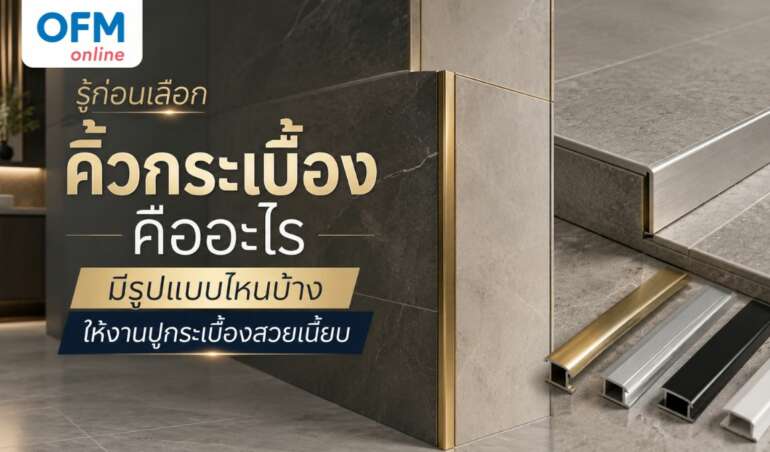 คิ้วกระเบื้องคือ