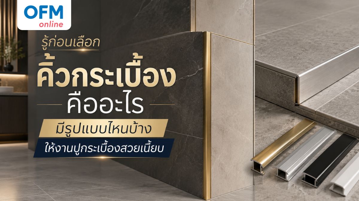 คิ้วกระเบื้องคือ