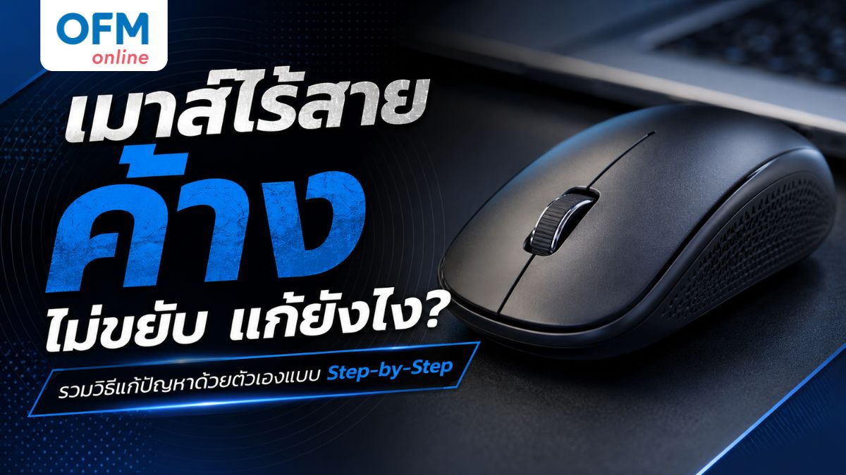 เมาส์ไร้สายค้าง