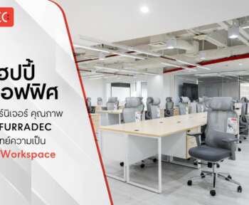 เฟอร์นิเจอร์สำนักงานจำนวนมาก