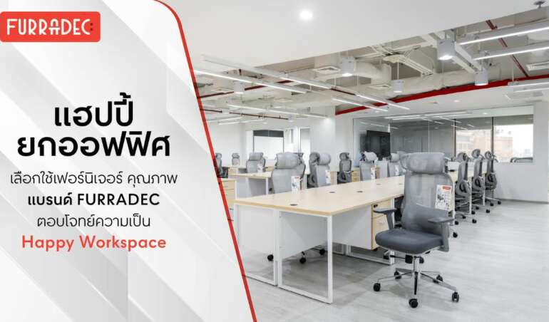 เฟอร์นิเจอร์สำนักงานจำนวนมาก
