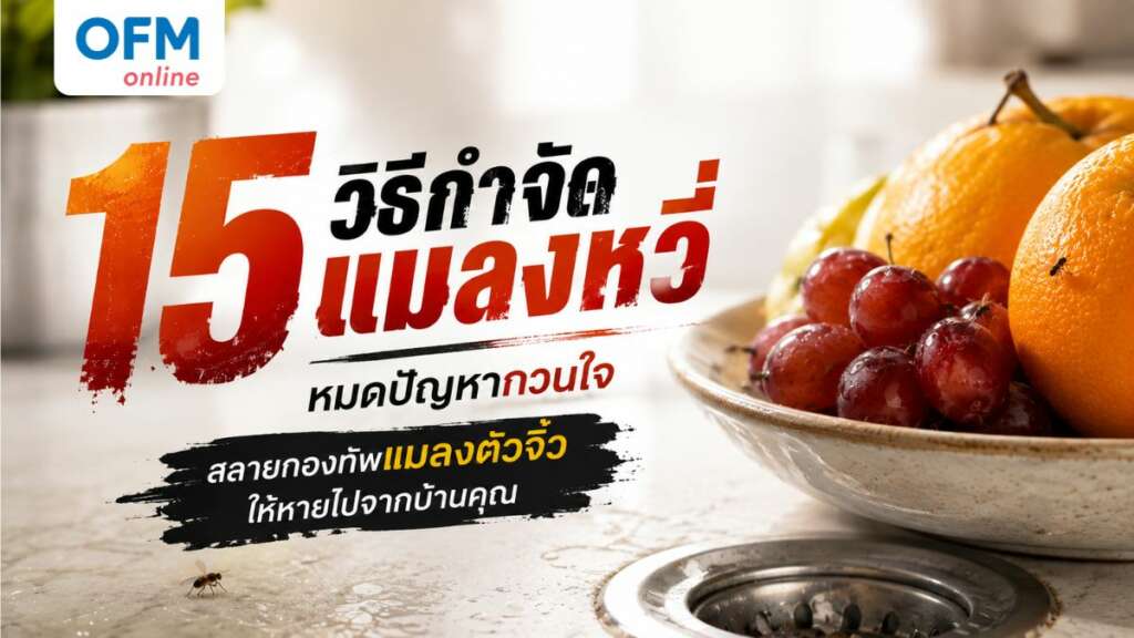 วิธีกําจัดแมลงหวี่