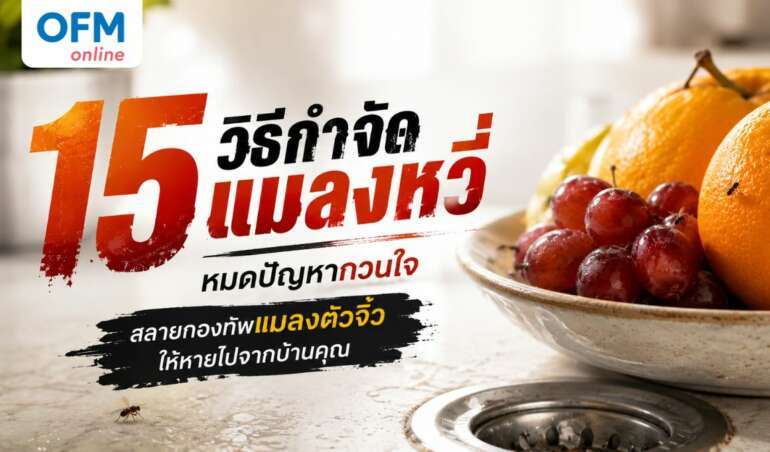 วิธีกําจัดแมลงหวี่