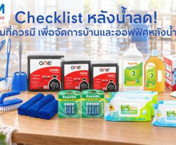 วิธีดูแลบ้านหลังน้ำท่วม