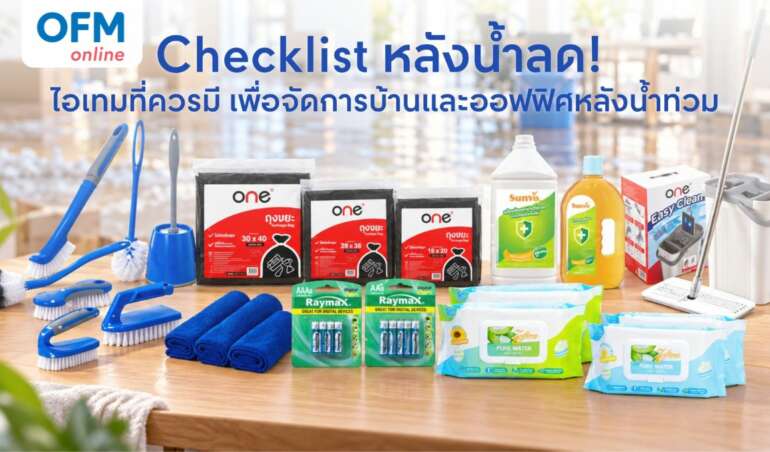 วิธีดูแลบ้านหลังน้ำท่วม