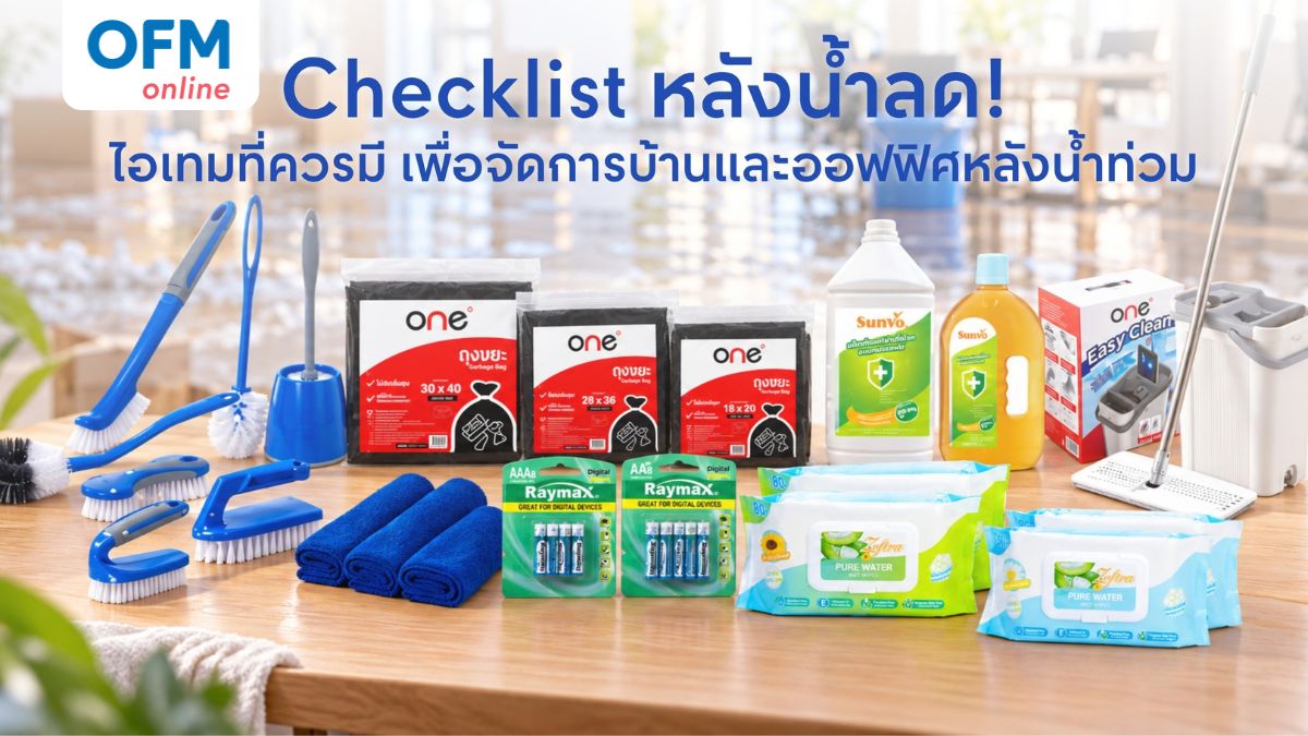 วิธีดูแลบ้านหลังน้ำท่วม