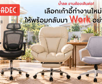เลือกเก้าอี้ทำงาน แบบไหนดี